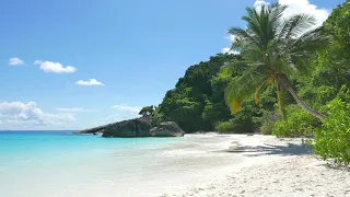 Tropical Beach||FREE TO USE FOOTAGE