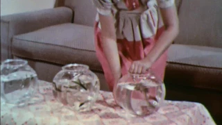 Balanced Aquarium (1955)