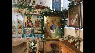 РПЦЗ Иоанновский монастырь Троица 2019