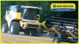 Žně 2021 | Sklizeň Ječmene | kombajn: New Holland CX860 | Soukromník Měrotín