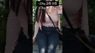 -20kg 현실적인 감량 과정