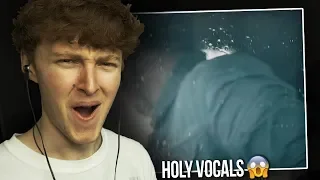 HOLY VOCALS! (Shawn Mendes - Mercy | Music Video Reaction/Review)