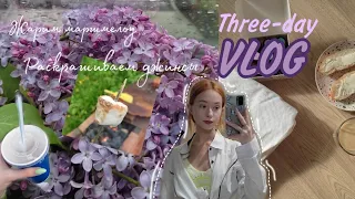 VLOG🌸// estory Екатеринбург, рецепт завтрака