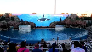 Orca Encounter (Full Show) | SeaWorld San Diego, California | January 2020