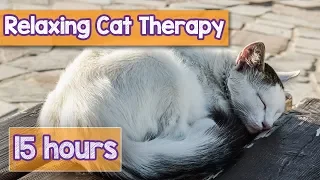 NEW, IMPROVED Relaxing Music for Cats! Calm Your Energetic Cat with this Soothing Music (2018) 🐕💤