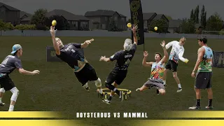 The Greatest Produced Spikeball/Roundnet Match (#2 Boysterous vs #4 Mammal)︱HTR