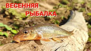 Рыбалка весной на малой речке. Уровень воды в Оке и ближайших водоемах.