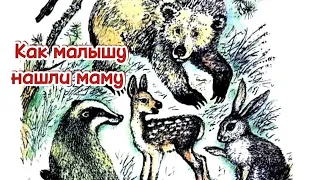 В.Н. Орлов "Как малышу нашли маму". Аудиосказка.