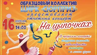 Отчетный концерт, Образцового коллектива, Цирк "Сюрприз"
