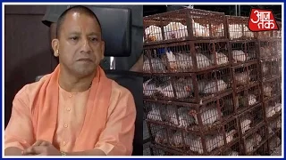 Poultry Farm Owners Meet CM Yogi For The Loss In Their Business