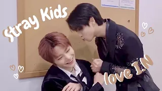 Stray Kids love I.N pt. 16