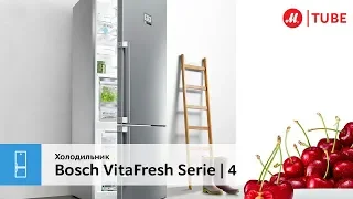 Обзор холодильника Bosch VitaFresh Serie | 4 KGN39XW2AR