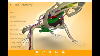 Augmented and Virtual Reality with Lifeliqe