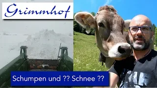 FarmVLOG#18 -Schumpen besuchen und eiskalt fahren