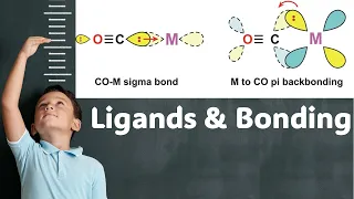 Ligands and bonding in transition metal complexes