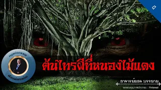 อาจารย์ยอด : ต้นไทรผีที่หนองไม้แดง [ผี]