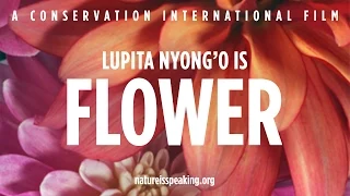 Nature Is Speaking: Lupita Nyong'o adalah Bunga | Conservation International (CI)