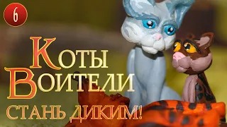 КВ сериал | КОТЫ ВОИТЕЛИ - Стань диким! 6 серия. История Огнезвезда НЕ в двух словах.