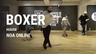 BOXER - HOUSE Dance Class / NOA ONLINE DANCE