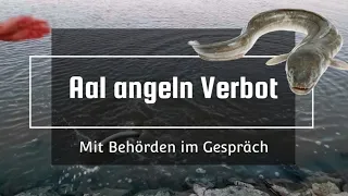 Unglaublich Aal angeln Verbot | Gespräche mit den Behörden S8 F17 #angeln #aal #eel