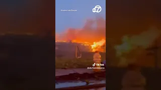 Harrowing video shows people in pool as Maui fires raged all around