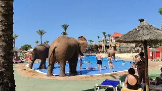 El día que nos bañamos 🌊 con los Elefantes 🐘