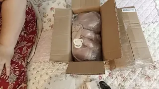 Box Opening and Review of TWIN replica reborns from TEMU!