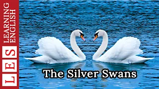 Learn English Through Story ✿ Subtitle: The Silver Swans (level 2)