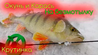 Окунь и карась в Крутинке. Зимняя ловля на безмотылку