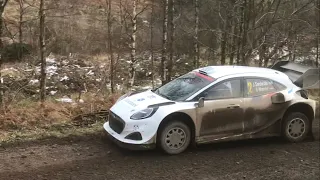 Malcolm Wilson Rally 2023, Grizedale Stage North