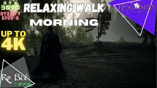 Hogwarts Legacy | Relaxing Walk | Music & Ambience | Lower Hogsmead to Hogwarts  - MORNING