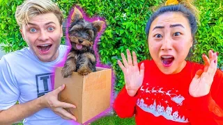 BOYFRIEND SURPRISES ME WITH A PUPPY!!