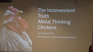 July 2 - 7:30 PM - Workshop 6: Lori Marino: The Inconvenient Truth About Thinking Chickens edit