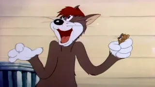 Tom and Jerry   Sufferin' Cats!, Episode 9 Part 1