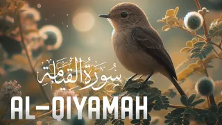 Emotional Quran recitation | Surah Al-Qiyamah (سورة القيامة) Makkah TV