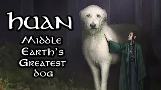 Huan - The Greatest Dog in Middle Earth