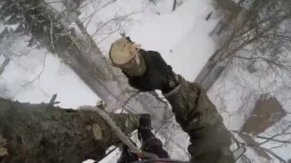 Подробное видео удаления дерева арбористом. Часть 3
