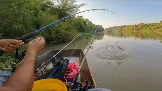 Mới sáng ra mà đụng bầy cá ăn như trong ao nuôi  ✅