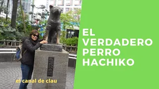 El perro Hachiko en Japon