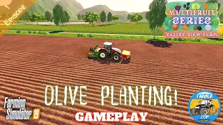 OLIVE PLANTING! - Valley View Gameplay Episode 1 - Farming Simulator 19