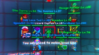 Rucoy Online: Level 95 Advanced to Melee Level 500