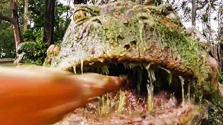 Giant Frog Attacks! Scene - LOVE AND MONSTERS (2020) Movie Clip