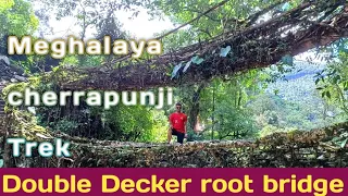 Double Decker living root bridge trek in Cherrapunji~Meghalaya | Meghalaya Tour |