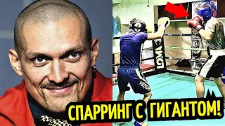 УСИК СВОДИЛ ДЖОШУА В ШКОЛУ! Майк Тайсон в ШОКЕ, Лома против ГИГАНТА