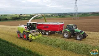 ensilage de seigle 🌾 pour la metha solesmois avec l'ETA de Romeries 🚜🤩