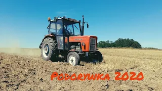 Podorywka 2020 / Ursus c-360 / Pług unia Grudziądz 5