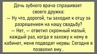 🤡Приобрёл Петька Диван...Сборник Смешных Анекдотов,Для Супер Настроения!