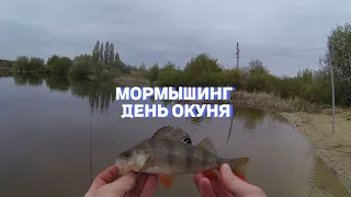 мормышинг день окуня