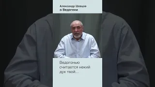 О Ведогони. Александр Шевцов #александршевцов #ведогонь #мазыки