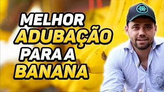 RECOMENDAÇÃO COMPLETA de ADUBAÇÃO para BANANA | Série: Teoria na Prática #005